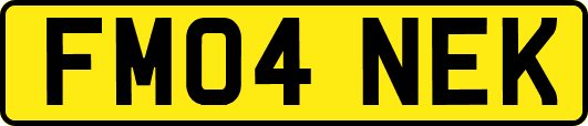 FM04NEK