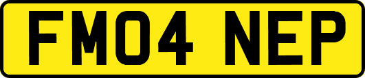 FM04NEP