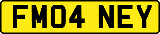 FM04NEY