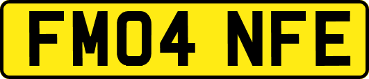 FM04NFE