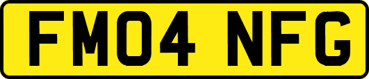 FM04NFG