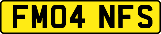 FM04NFS