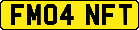 FM04NFT