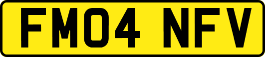 FM04NFV