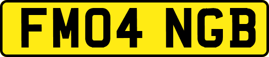 FM04NGB