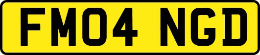 FM04NGD
