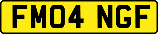 FM04NGF