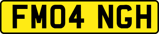 FM04NGH