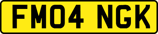 FM04NGK