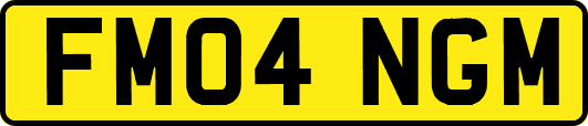 FM04NGM