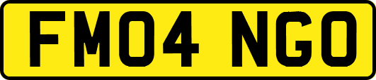 FM04NGO