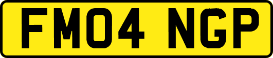 FM04NGP