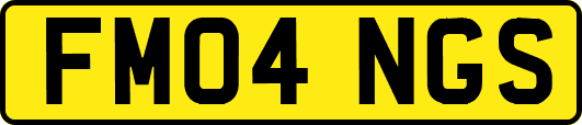 FM04NGS