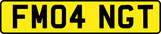 FM04NGT