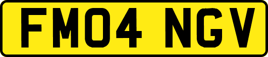 FM04NGV