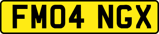 FM04NGX
