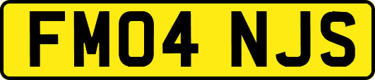 FM04NJS
