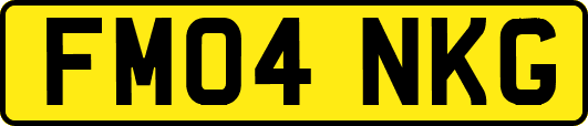 FM04NKG