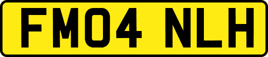 FM04NLH