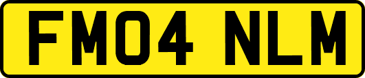 FM04NLM