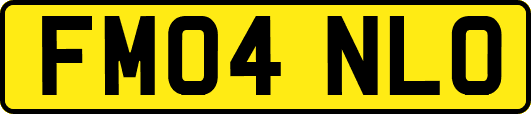 FM04NLO