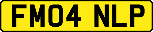 FM04NLP