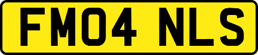 FM04NLS