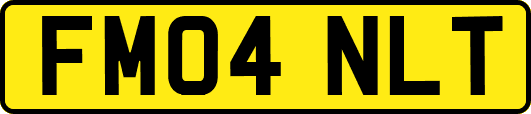 FM04NLT