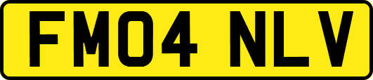 FM04NLV