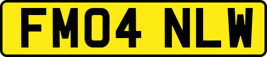 FM04NLW