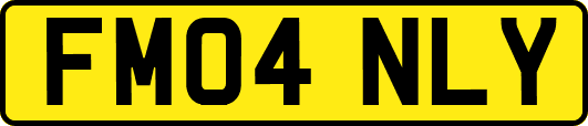 FM04NLY