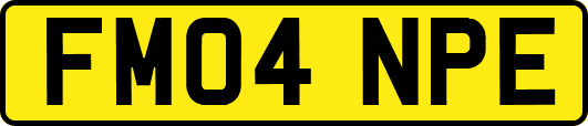 FM04NPE