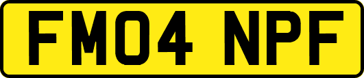 FM04NPF