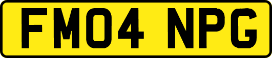 FM04NPG