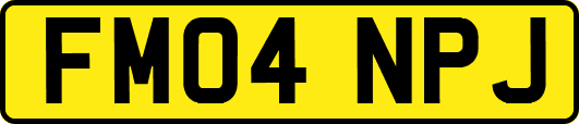 FM04NPJ