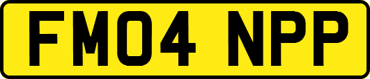 FM04NPP