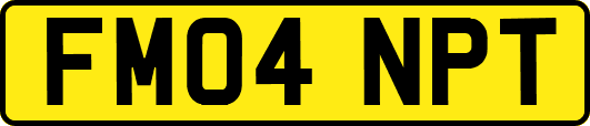 FM04NPT