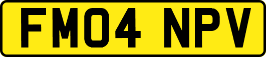 FM04NPV
