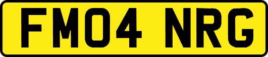 FM04NRG