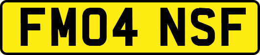 FM04NSF