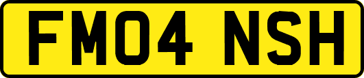 FM04NSH