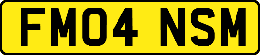 FM04NSM