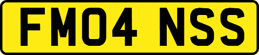 FM04NSS