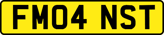 FM04NST