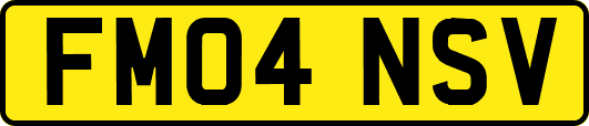 FM04NSV
