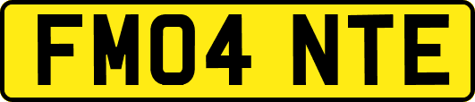 FM04NTE
