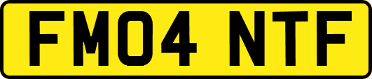 FM04NTF