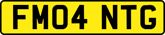 FM04NTG