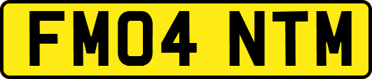 FM04NTM