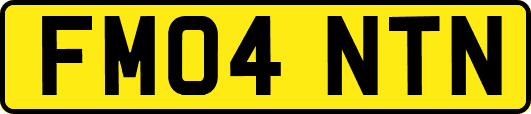 FM04NTN